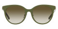 Khaki / Light Gray Gradient Green