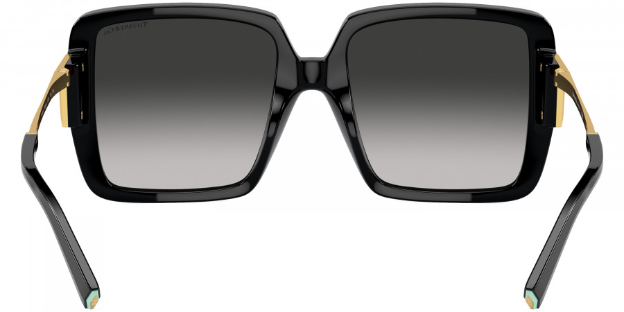 Tiffany™ - TF4212U