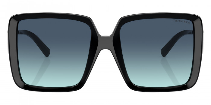 TIFFANY™ TF4212U 83429S 55 - Black/Silver