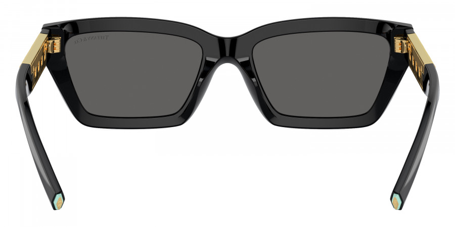 Tiffany™ - TF4213