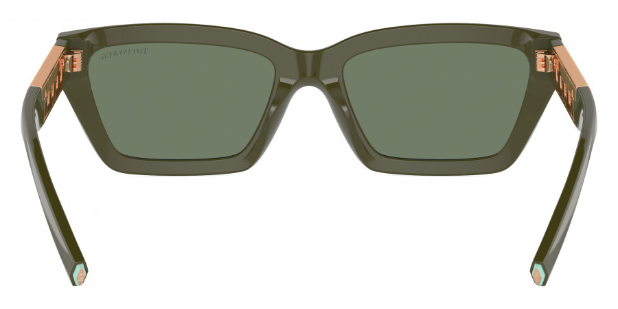 Tiffany™ - TF4213