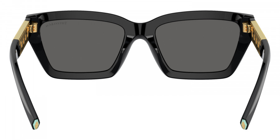 Tiffany™ - TF4213F