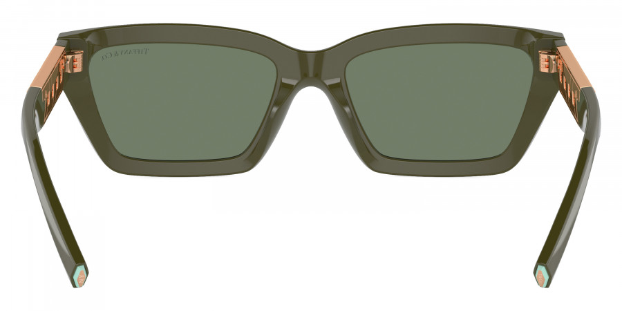 Tiffany™ - TF4213F
