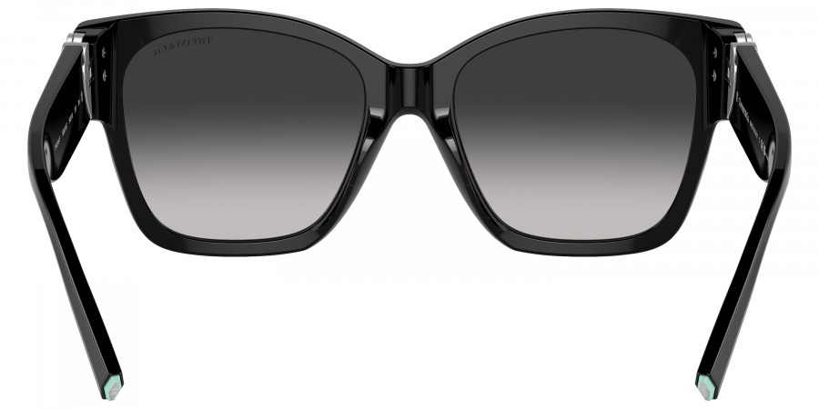Tiffany™ - TF4216F