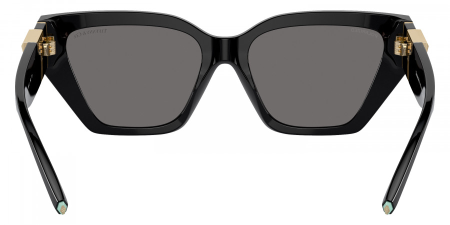Tiffany™ - TF4218