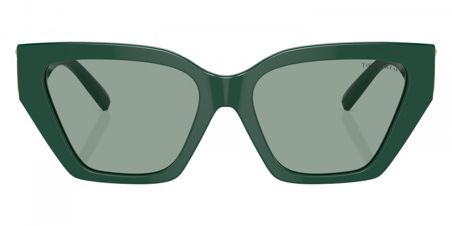 Tiffany™ - TF4218