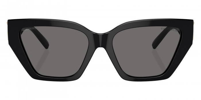 TIFFANY™ TF4218F 800181 55 - Black