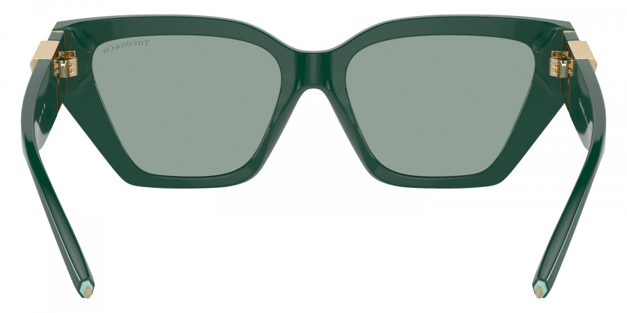 Tiffany™ - TF4218F