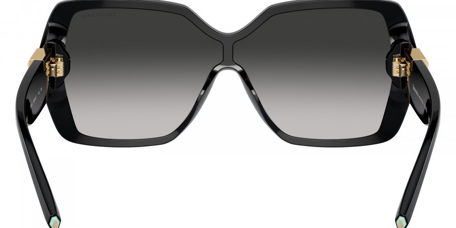 Tiffany™ - TF4219