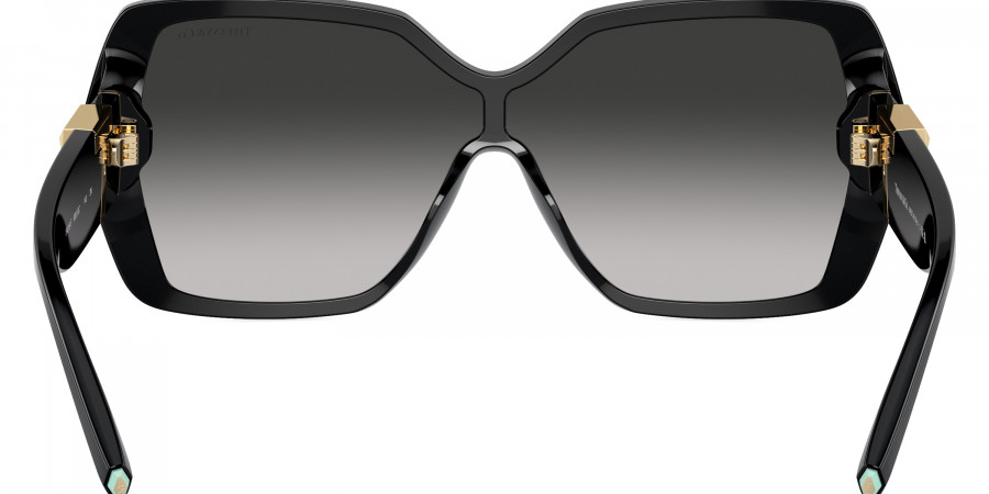 Tiffany™ - TF4219F