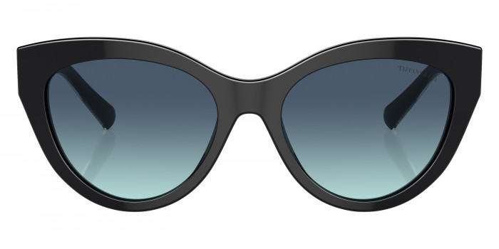 TIFFANY™ TF4220 80019S 54 - Crystal on Black