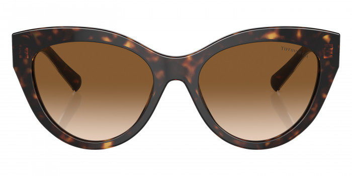 TIFFANY™ TF4220 801551 54 - Crystal on Havana