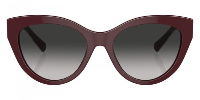 TIFFANY™ TF4220 83893C 54 - Crystal on Burgundy