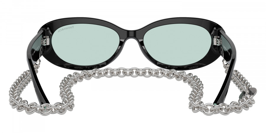 Tiffany™ - TF4221F