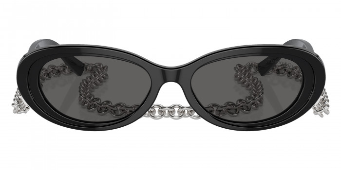 TIFFANY™ TF4221F 8001S4 54 - Black