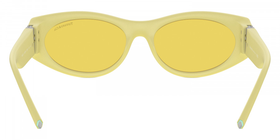 Tiffany™ - TF4222U