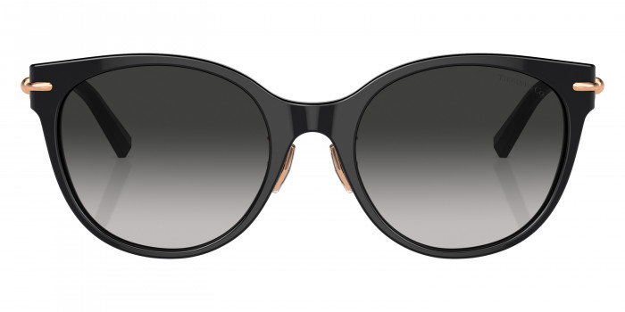 TIFFANY™ TF4223D 80013C 54 - Black