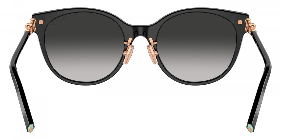 Tiffany™ - TF4223D