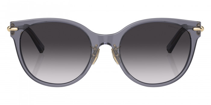 TIFFANY™ - TF4223D