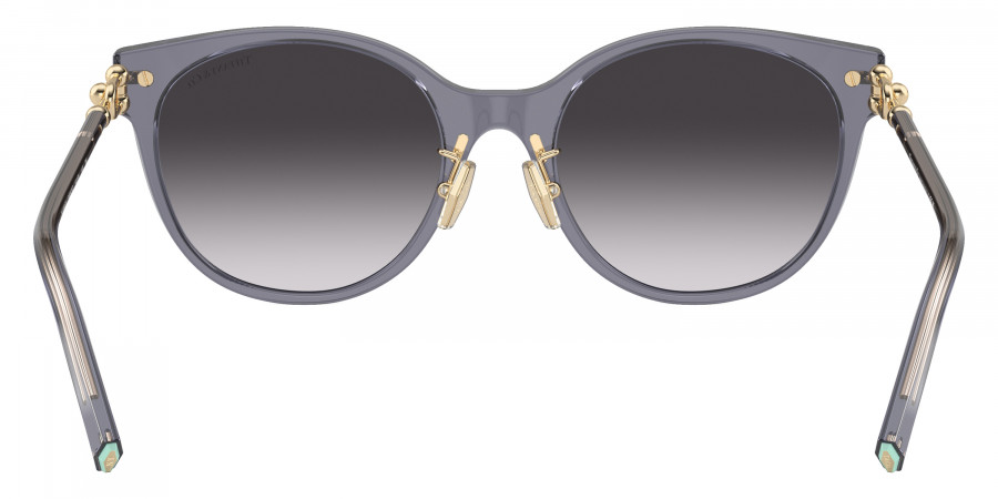 Tiffany™ - TF4223D