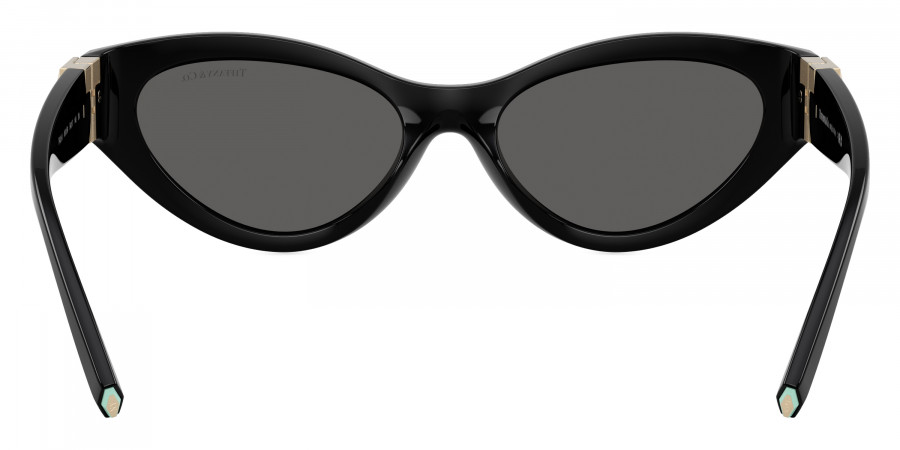 Tiffany™ - TF4225U