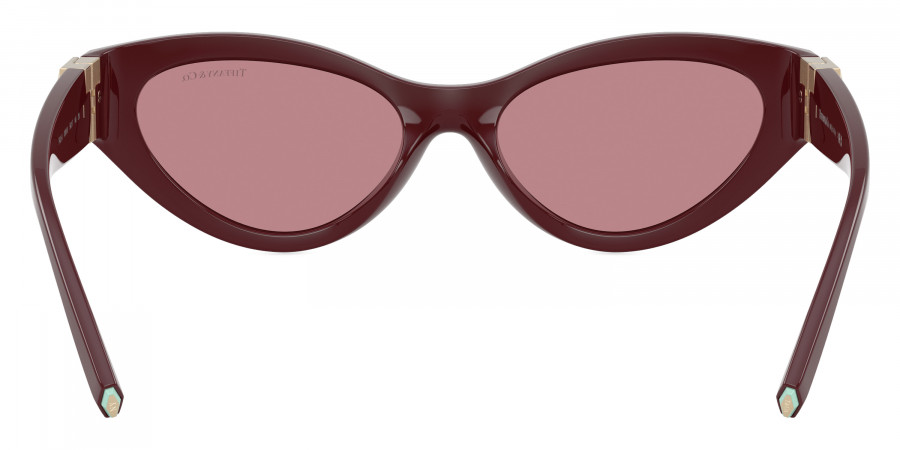 Tiffany™ - TF4225U