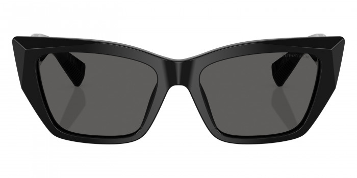 TIFFANY™ TF4230 8001S4 54 - Black