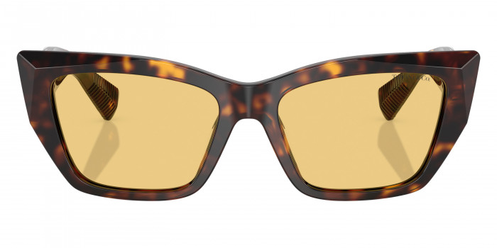 TIFFANY™ TF4230F 8015/7 54 - Havana