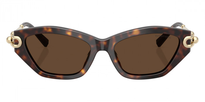 TIFFANY™ TF4231U 80153G 53 - Havana/Pale Gold