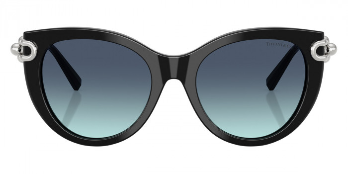 TIFFANY™ TF4232 83429S 53 - Black/Silver