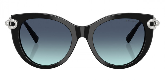 TIFFANY™ TF4232F 83429S 53 - Black/Silver