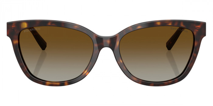 TIFFANY™ TF4237B 8015T5 55 - Havana