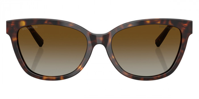 TIFFANY™ TF4237BF 8015T5 55 - Havana