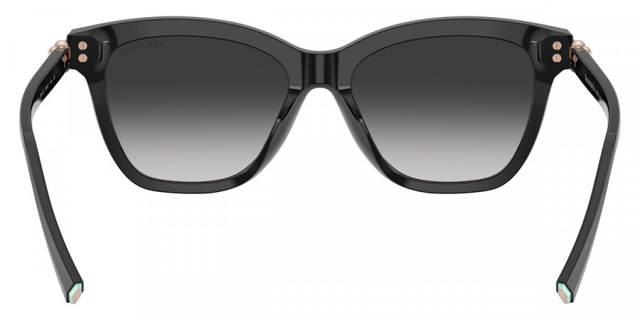 Tiffany™ - TF4241D