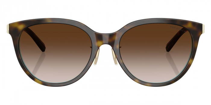 TIFFANY™ TF4243D 81343B 55 - Havana on TIFFANY Blue/Pale Gold