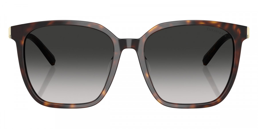 Tiffany™ - TF4244D