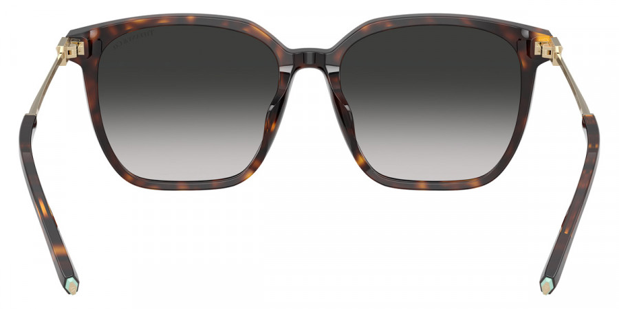 Tiffany™ - TF4244D