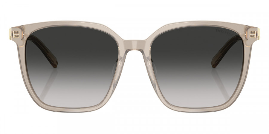 Tiffany™ - TF4244D