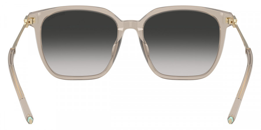 Tiffany™ - TF4244D