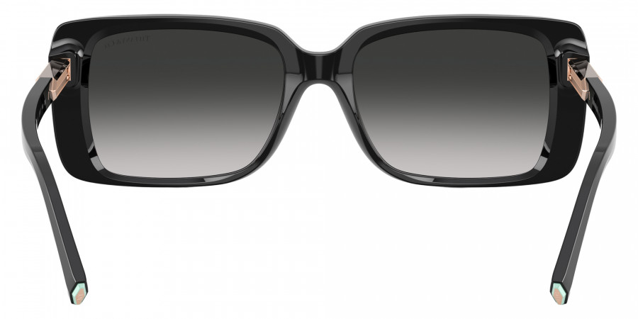 TIFFANY™ - TF4249F