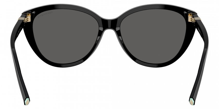 TIFFANY™ - TF4251F