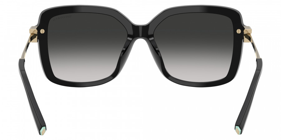 TIFFANY™ - TF4252B