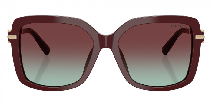 TIFFANY™ TF4252B 8389V5 55 - Burgundy