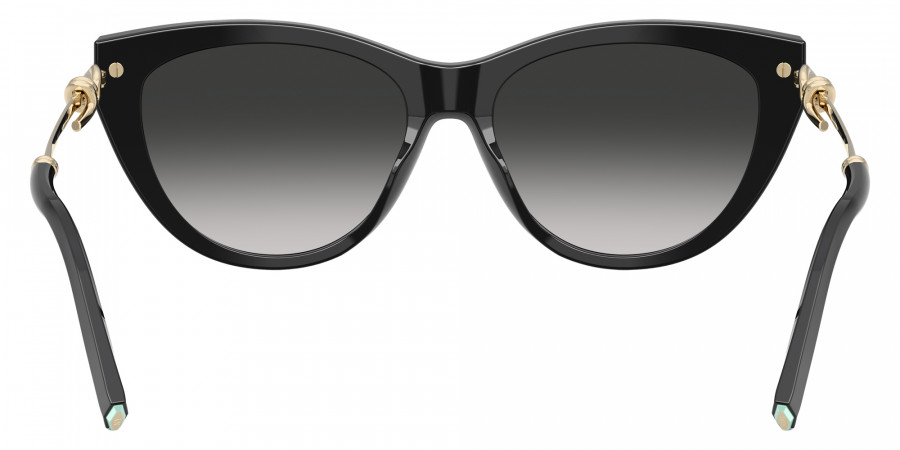 TIFFANY™ - TF4253F