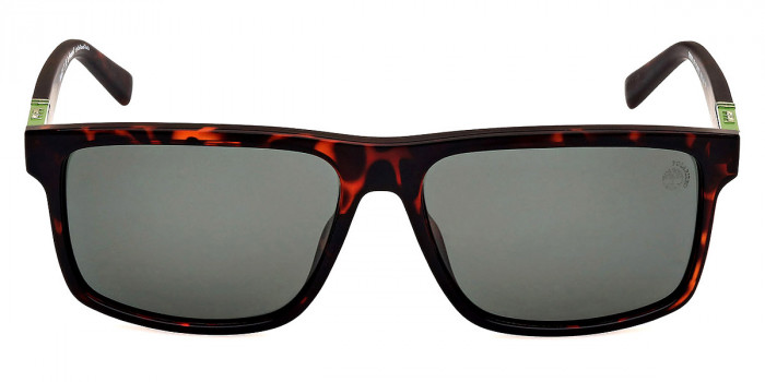 Timberland™ TB00008 52R 56 - Dark Havana