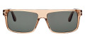Shiny Transparent Beige/T Logo / Green