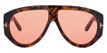 Shiny Dark Havana/T Logo / Orange