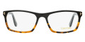Shiny Black to Vintage Havana / Blue