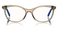 Shiny Transparent Brown/Shiny Dark Havana/Rose Gold