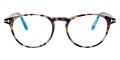 Shiny Vintage Gray Havana/T Logo